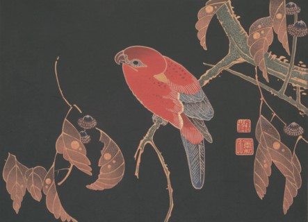 Red Parrot on the Branch of a Tree, ca. 1900. Creator: Ito Jakuchu.