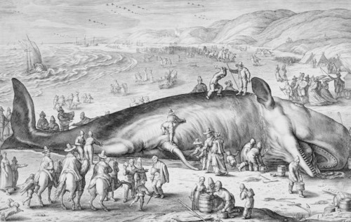 Beached Whale, 1598. Creator: Jacob Matham.