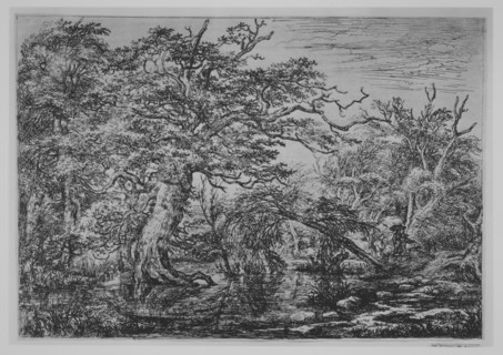 A Forest Marsh with Travelers on a Bank (The Travelers), 17th century. Creator: Jacob van Ruisdael.