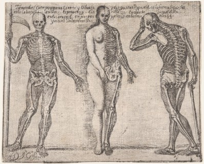 Studies of three skeleton, from the 'Principios para estudiar el Nobilísimo y Real art..., ca. 1693. Creator: José García Hidalgo.
