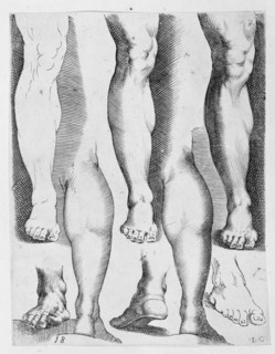 Five Legs and Three Feet, 17th century., 17th century. Creator: Luca Ciamberlano.