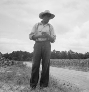 Untitled, 1935-1942. [African-American man near a field of corn]. Creator: Unknown.