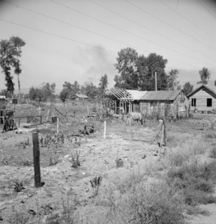 Untitled, 1935-1942. [Rural smallholding]. Creator: Unknown.