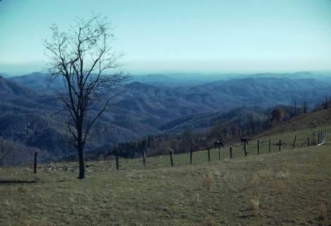 Mountain farm along Skyline Drive, Va., ca. 1940. Creator: Jack Delano.
