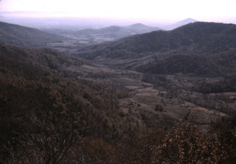 View along the Skyline Drive, Va., ca. 1940. Creator: Jack Delano.