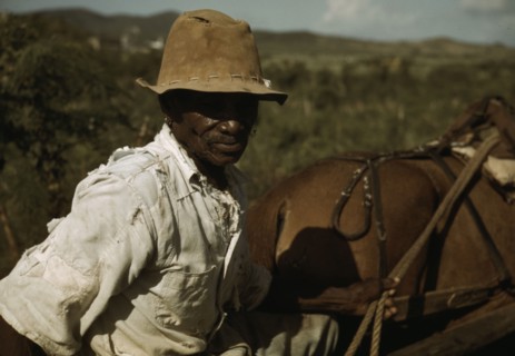 FSA - Tenant Purchase borrower? by his field, Puerto Rico, 1941 or 1942. Creator: Jack Delano.