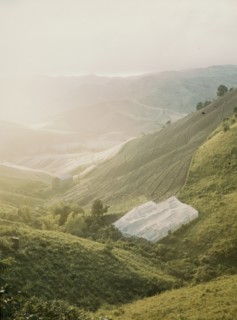 Tobacco country, vicinity of Barranquitas, Puerto Rico, 1941. Creator: Jack Delano.