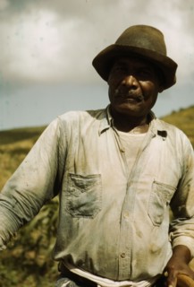 Farm Security Administration borrower, vicinity of Frederiksted, St. Croix, Virgin Islands, 1941. Creator: Jack Delano.
