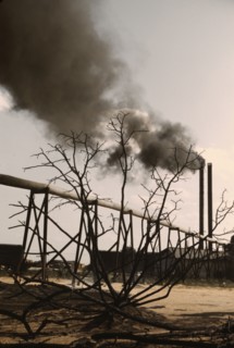 Sawmill at the Greensboro Lumber Co., Greensboro, Ga., 1941?. Creator: Jack Delano.