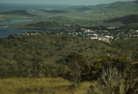 Southwestern Puerto Rico in the vicinity of Guanica?, 1942. Creator: Jack Delano.