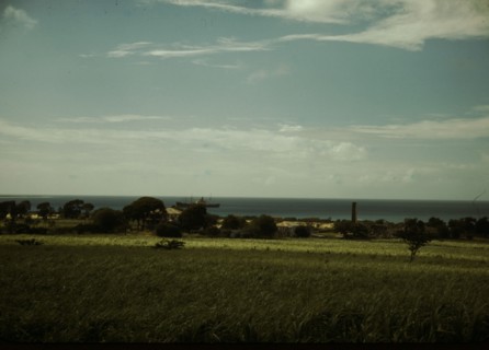 The coast of St. Thomas? Virgin Islands, 1941. Creator: Jack Delano.