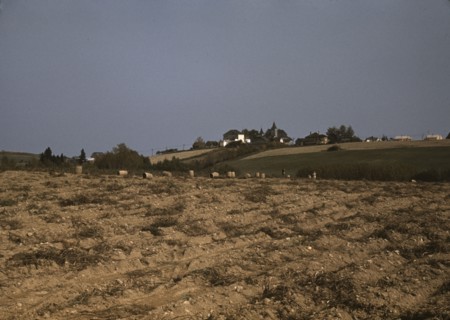 Farm in the vicinity of Van Buren, Aroostook County, Me., 1940. Creator: Jack Delano.