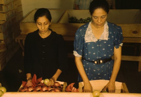 Sorting and packing tomatoes at the Yauco Cooperative Tomato Growers Association, Puerto Rico, 1942. Creator: Jack Delano.