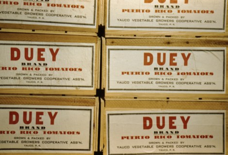 Tomato crates at the Yauco cooperative tomato growers' association, Puerto Rico, 1942. Creator: Jack Delano.