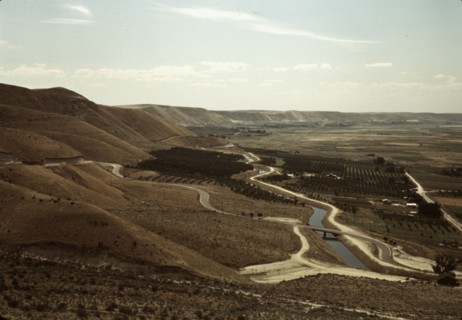 Cherry orchards and irrigation ditch, Emmett, Idaho, 1941. Creator: Russell Lee.