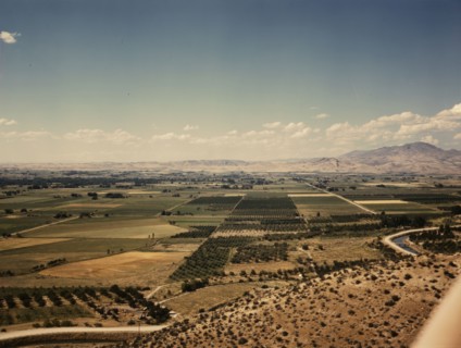Cherry orchards, farm lands and irrigation ditch at Emmett, Idaho, 1941. Creator: Russell Lee.
