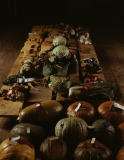 Exhibit of crops and vegetables at the Pie Town, New Mexico Fair, 1940. Creator: Russell Lee.