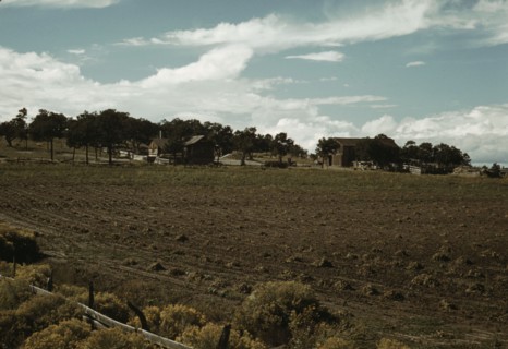 Field of beans and farmstead of Bill Stagg, homesteader, Pie Town, New Mexico, 1940. Creator: Russell Lee.