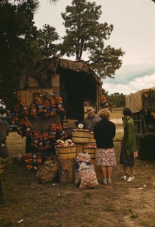 Fruit wagon at the Pie Town, New Mexico Fair, 1940. Creator: Russell Lee.