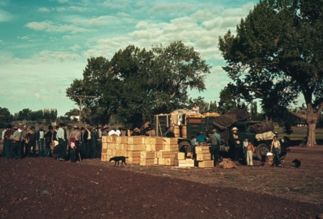 Distributing surplus commodities, St. Johns, Ariz., 1940. Creator: Russell Lee.