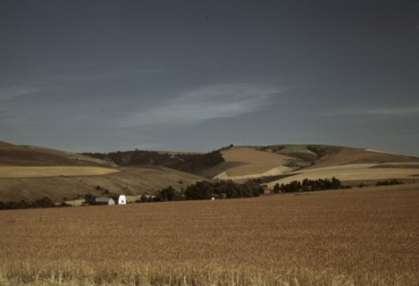 Wheat farm, Walla Walla, Washington, 1941. Creator: Russell Lee.
