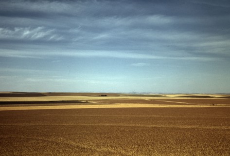 Wheat farm, Walla Walla, Washington, 1941. Creator: Russell Lee.