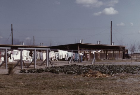 Community clothesline, FSA ... camp, Robstown, Tex., 1942. Creator: Arthur Rothstein.