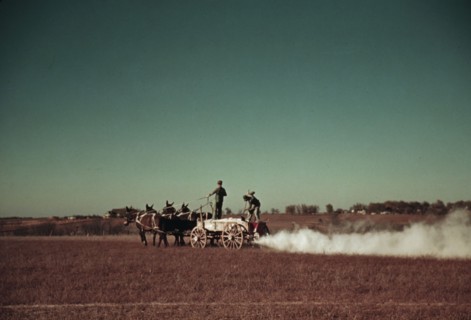 Spreading fertilizer from 4-mule team wagon, Georgia, ca. 1940. Creator: Marion Post Wolcott.