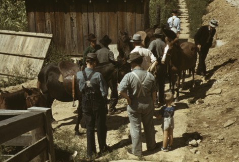 Mountaineers and farmers trading mules and horses on "Jockey St.,", Campton, Wolfe County, Ky., 1940 Creator: Marion Post Wolcott.