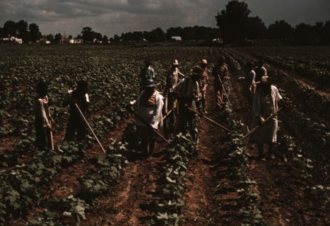 Bayou Bourbeau plantation operated by Bayou Bourbeau Farmstead Assoc..., Natchitoches, La., 1940. Creator: Marion Post Wolcott.