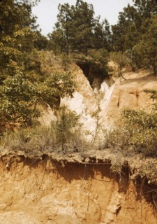 Eroded land, between 1941 and 1942. Creator: Unknown.