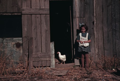 Girl next to barn with chicken, between 1941 and 1942. Creator: Unknown.