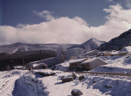 First snow of the season in the foothills of the Little Belt Mount..., Meagher County, Montana, 1942 Creator: Russell Lee.