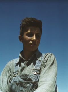 Portrait of a farm boy, between 1941 and 1945. Creator: Unknown.