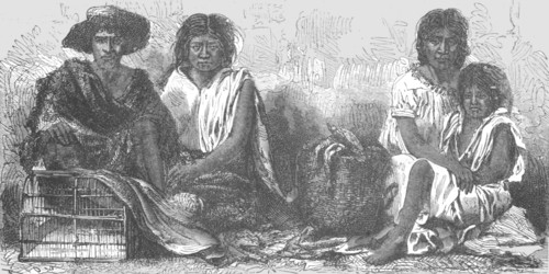 'Mexican Indians at Market; A zigzag journey through Mexico', 1875. Creator: Thomas Mayne Reid.