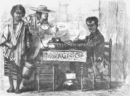 'An Evangelista; A zigzag journey through Mexico', 1875. Creator: Thomas Mayne Reid.