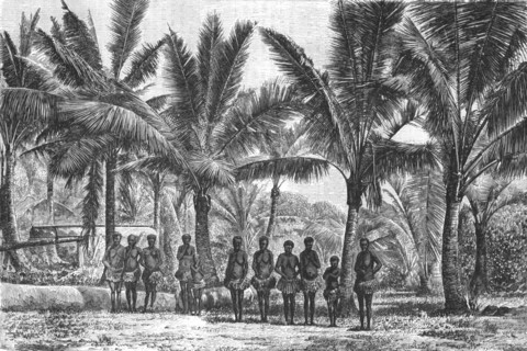 'Fishing -Village, in grove of Coconut Trees; Some Account of New Caledonia', 1875.    Creator: Unknown.