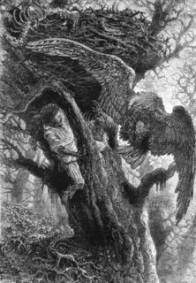 'Dangerous Bird Nesting; A Flying Visit to Florida', 1875. Creator: Thomas Mayne Reid.