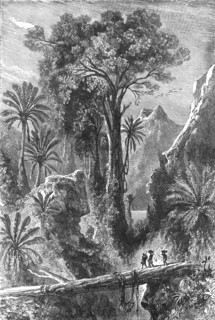 'On the Road to Tananarivo; Recent Explorations in Madagascar', 1875. Creator: Alfred Grandidier.