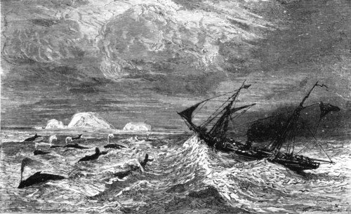 'In the midst of 'Leviathan.'; A Boat adventure in the Behring's Sea', 1875. Creator: Unknown.