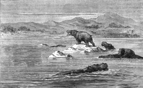 'The Haunt of the Sea-Cow; Life in a South African Colony', 1875. Creator: Unknown.