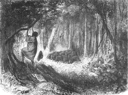 'An Aboriginal in Danger; An Ascent of the Cofre de Perote, Mexico', 1875. Creator: Unknown.