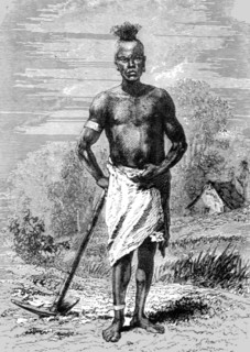 'Mahe Labourer; An Excursion in Dahomey', 1871. Creator: J. Alfred Skertchly.