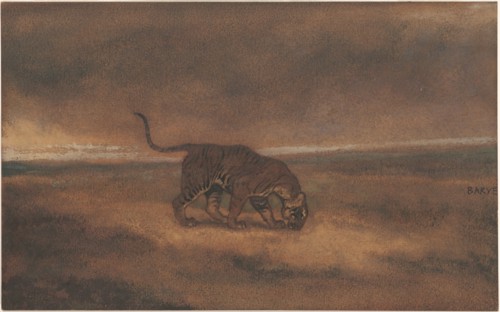 Tiger.