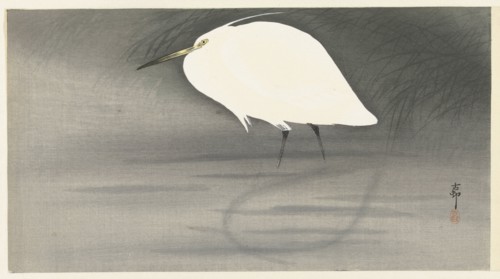 Egret. Private Collection.