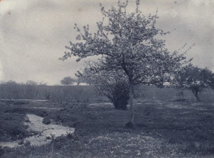 In May, c1900. Creator: Frances S. Allen.