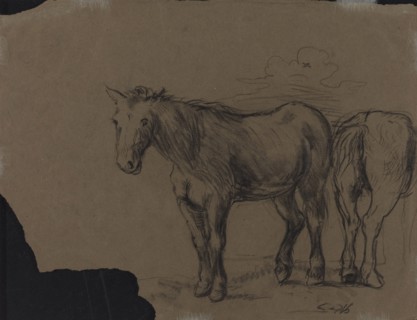 Horses.