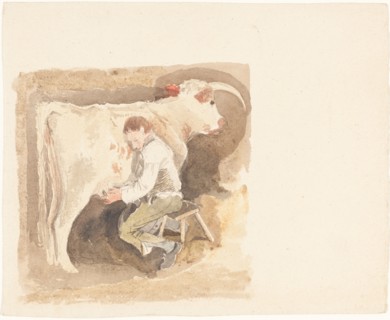 Boy Milking Cow.