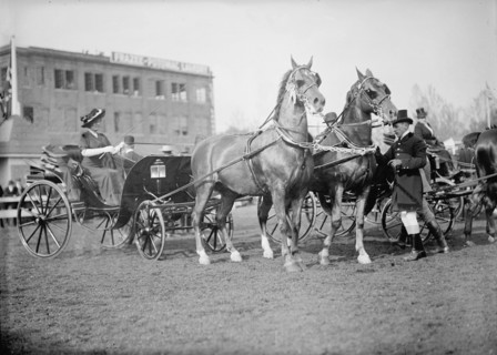 Horse Shows, 1911.