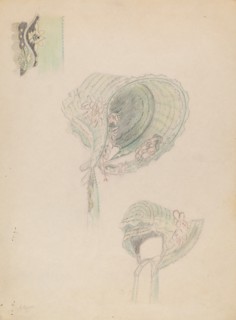 Poke Bonnet, c. 1936.
